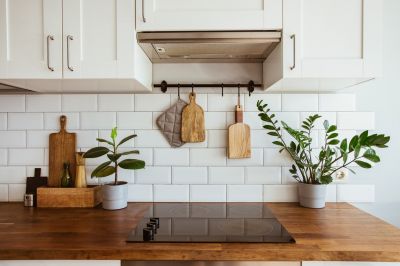 Kill Bacteria and Mold!