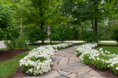 Give Your Landscape or Garden an Aesthetically Pleasing Appearance!